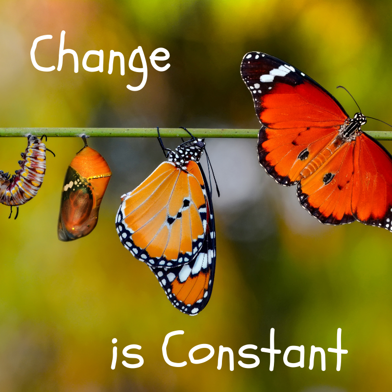 Change is Constant